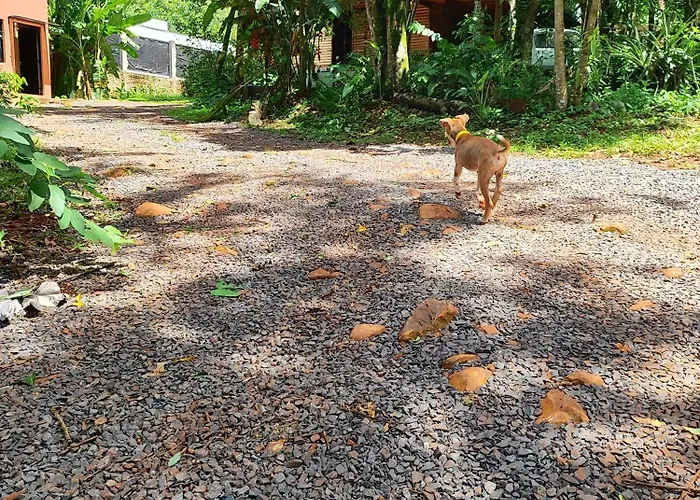 Minicasa Rural Maria Preta