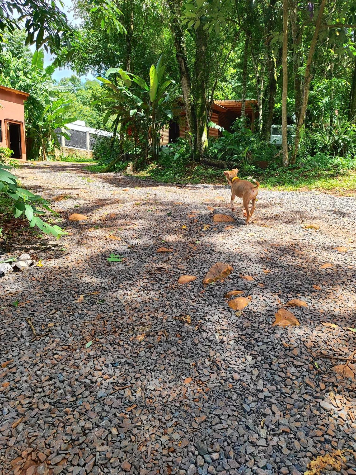 Apartamento Minicasa Rural Maria Preta Puerto Iguazú